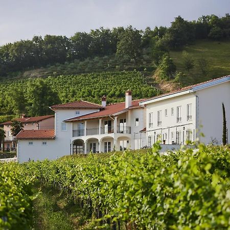 לינה וארוחת בוקר Kojsko Peterc Vineyard Estate מראה חיצוני תמונה