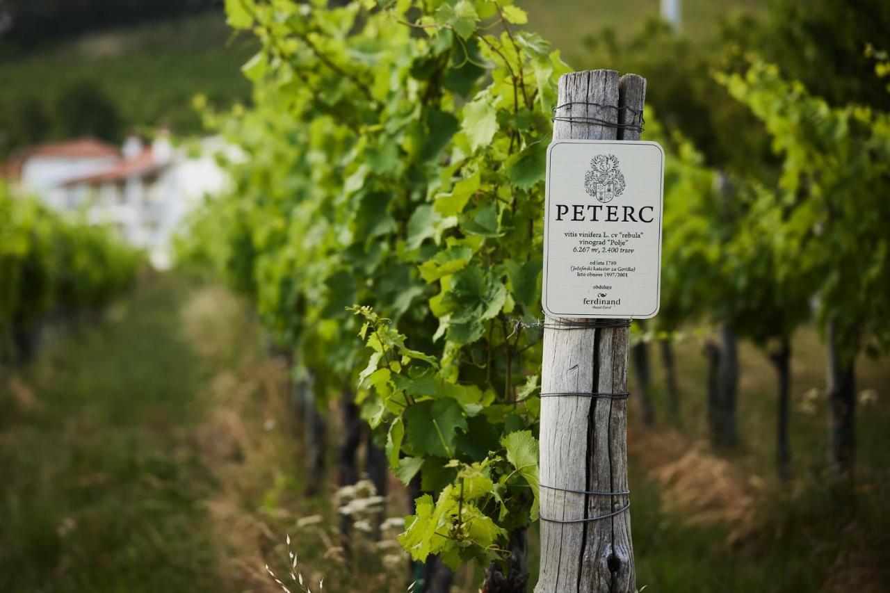 לינה וארוחת בוקר Kojsko Peterc Vineyard Estate מראה חיצוני תמונה