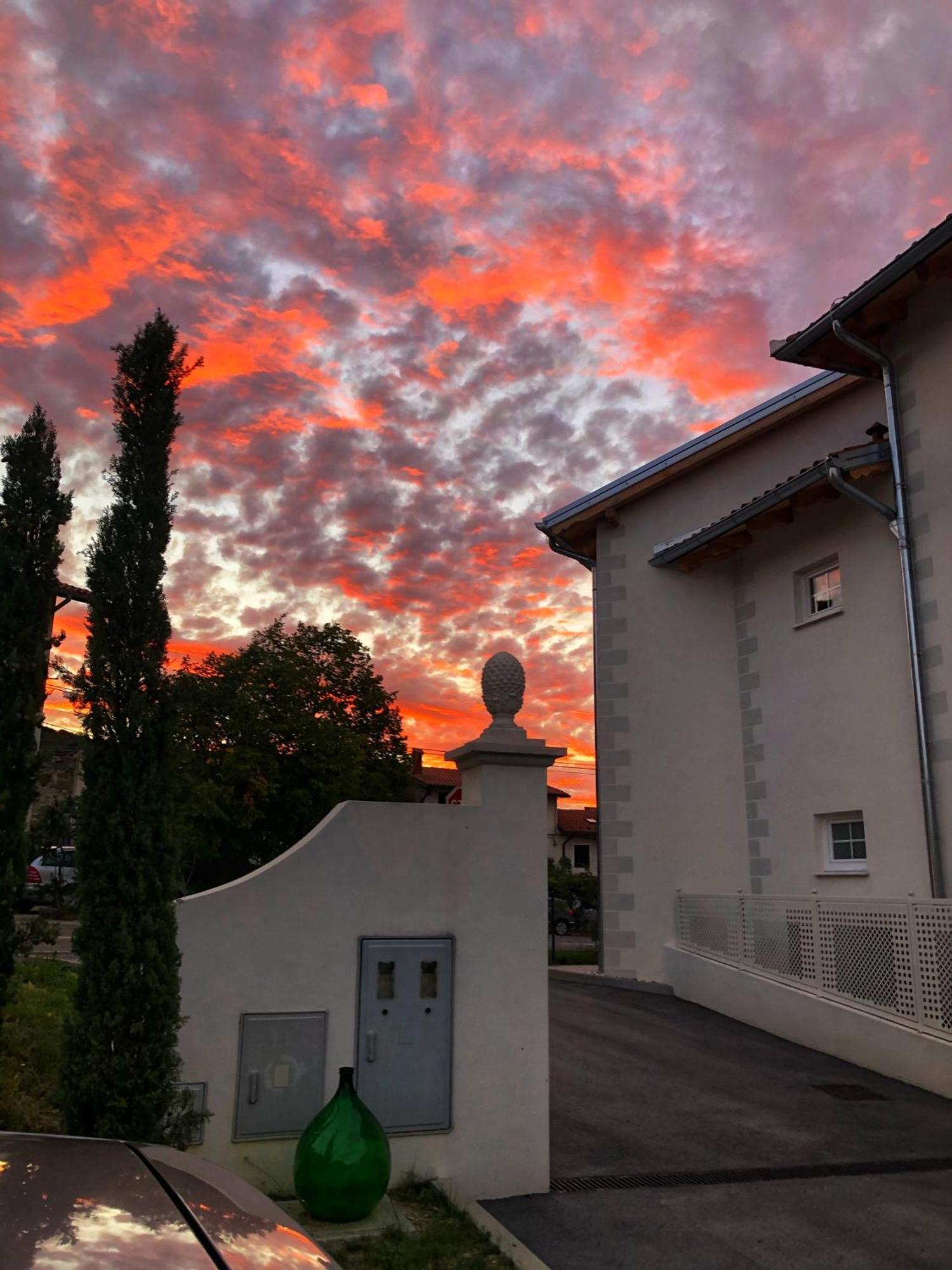 לינה וארוחת בוקר Kojsko Peterc Vineyard Estate מראה חיצוני תמונה